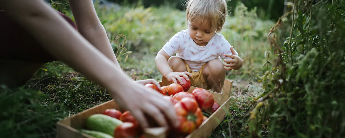 Que faire dans le jardin : juillet