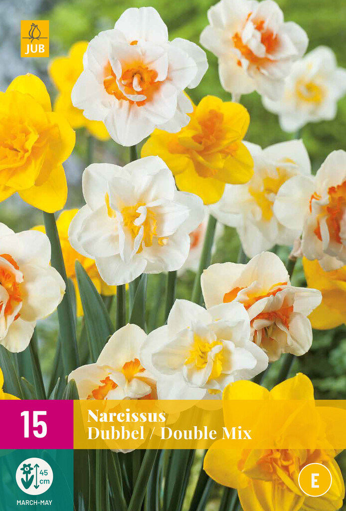 X 15 Narcissus Dubbel Mix