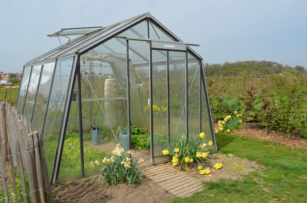 Serre Prestige S104 Alu Serre Prestige S104 Alu