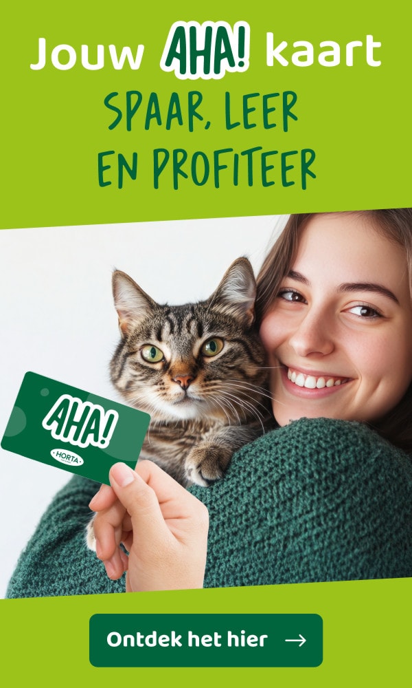 Jouw AHA! kaart Spaar, leer en profiteer