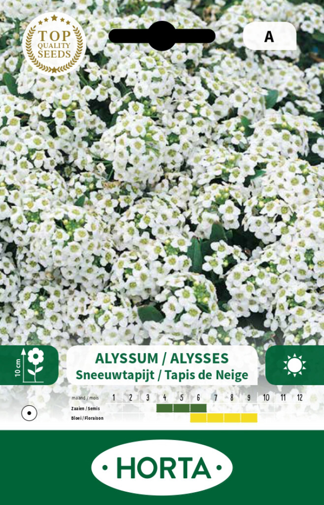 Alyssum Sneeuwtapijt wit