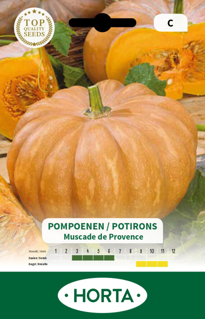 Pompoen Muskee van Provence