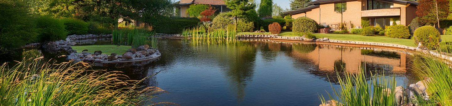 De vijver van je dromen