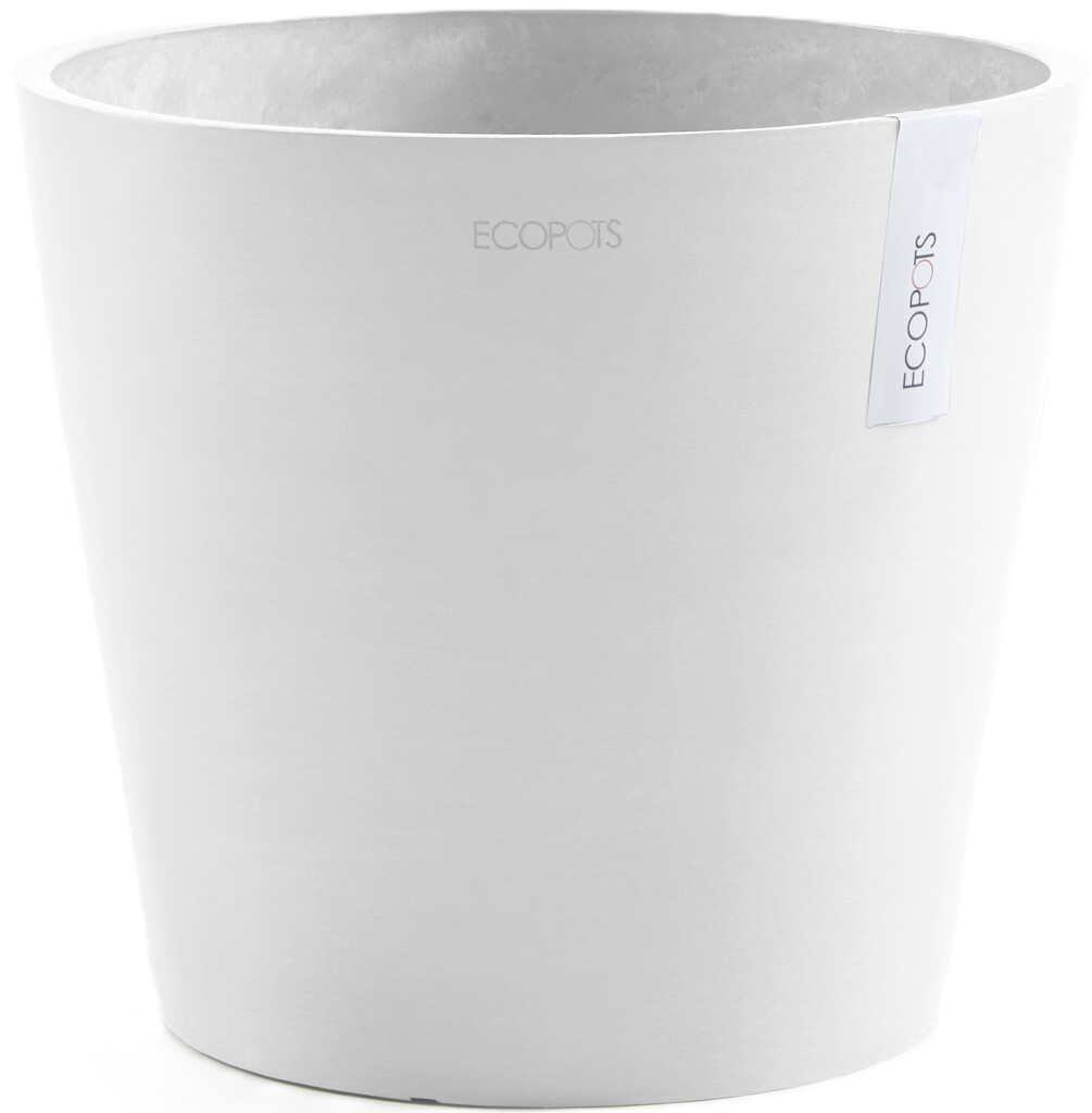 Amsterdam 25 Blanc Pur