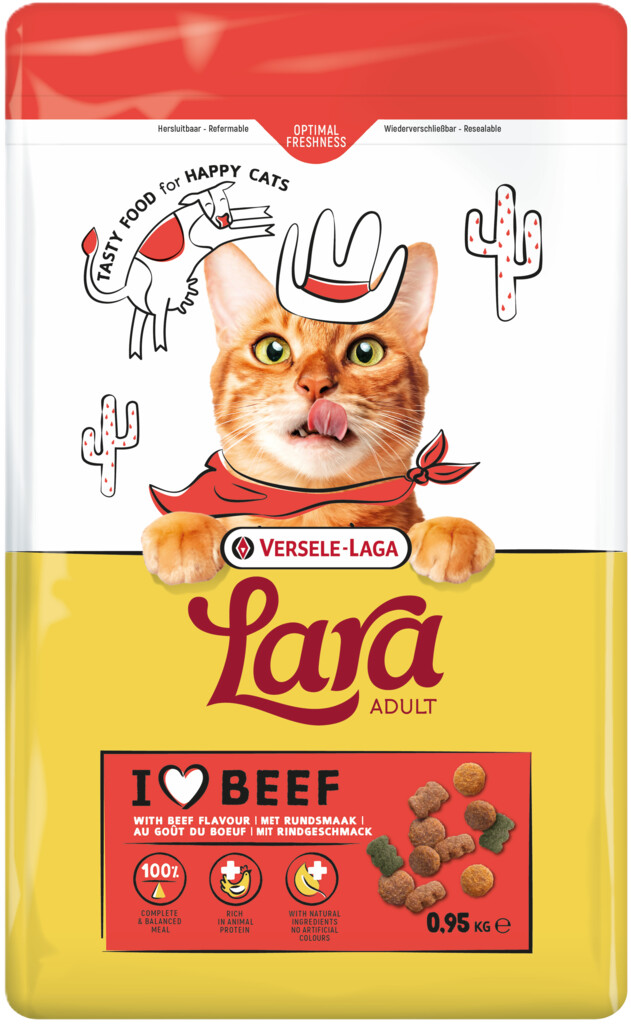 Adult with Beef Flavour 950g