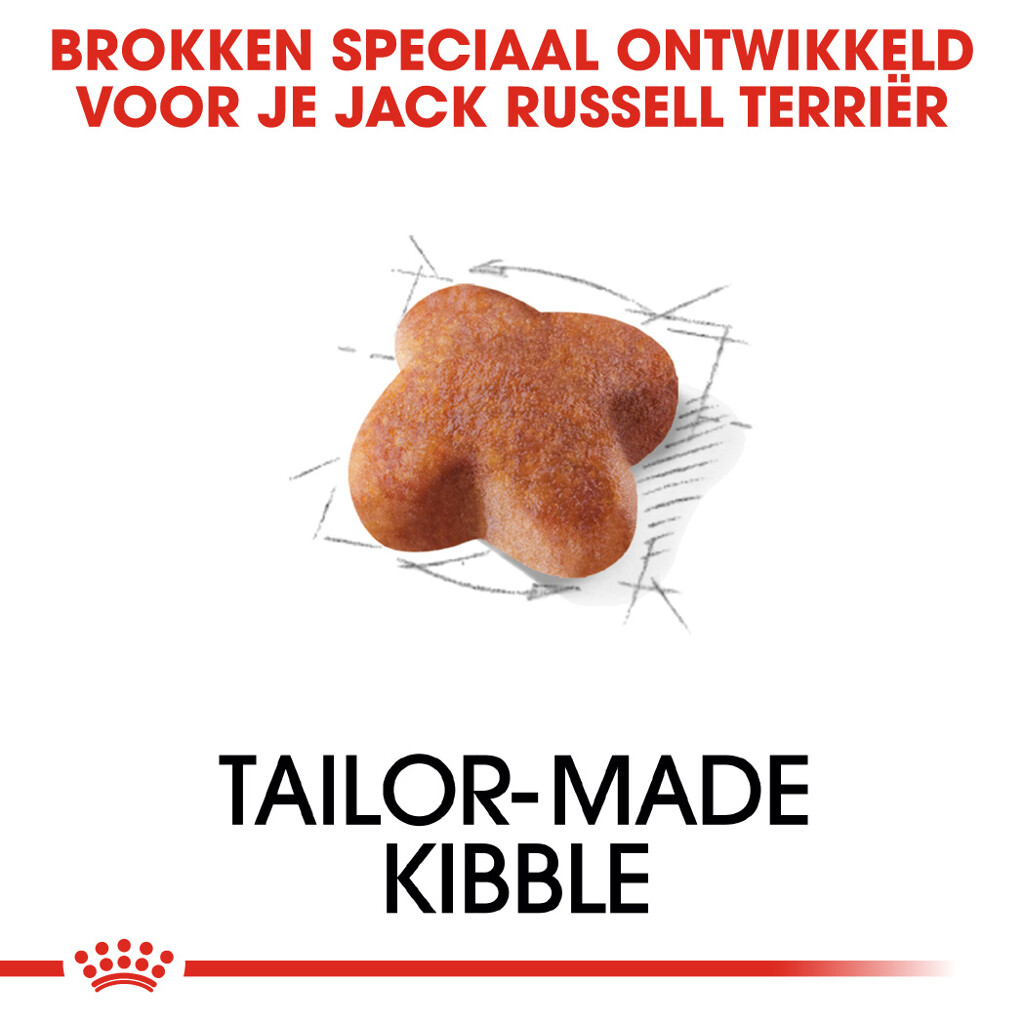 BHN Jack Russell Terrier 1,5kg