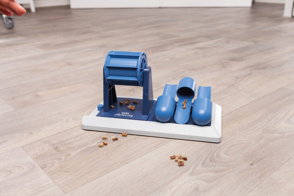 Dog Activity Strategiespel Poker Box Vario 2 Dog Activity Strategiespel Poker Box Vario 2