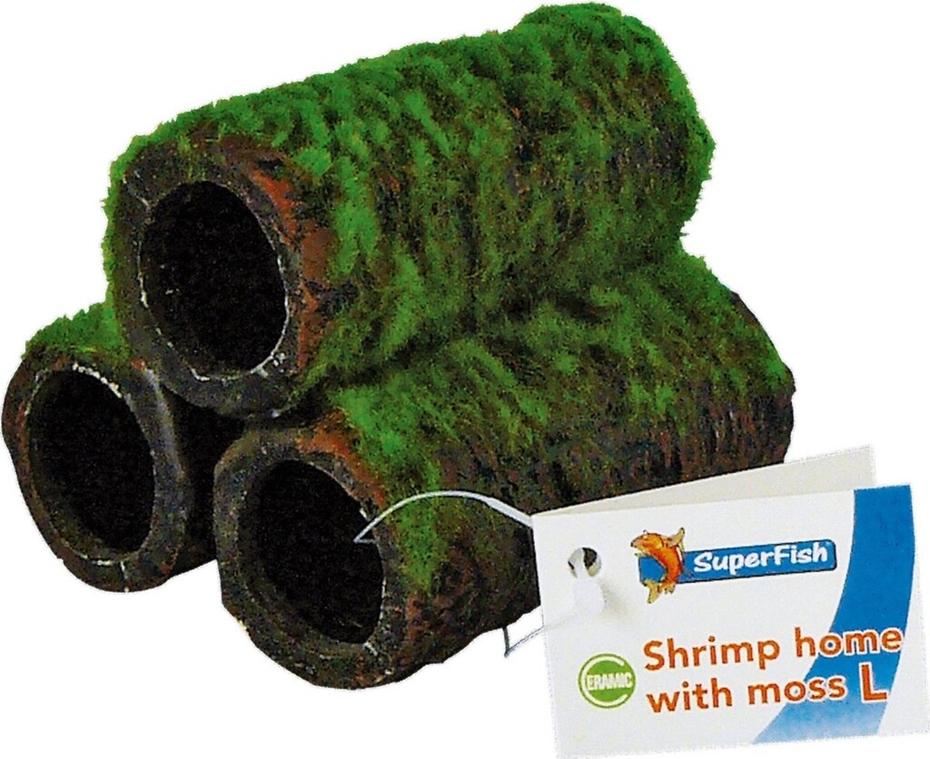 Shrimp Home crevette avec mousse L  Shrimp Home crevette avec mousse L