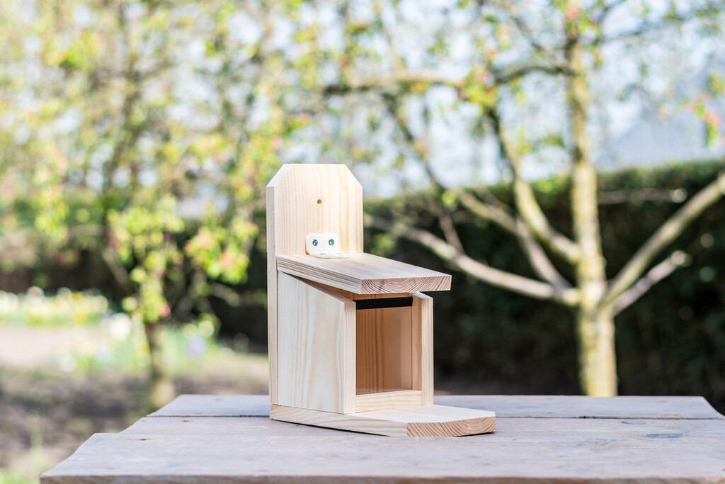 Mageoire pour écureuils Kids Sanjo - ensemble pour enfants Mageoire pour écureuils Kids Sanjo - ensemble pour enfants