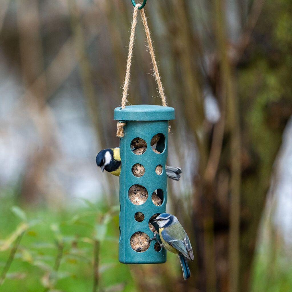 Rome vetbolhouder blauw