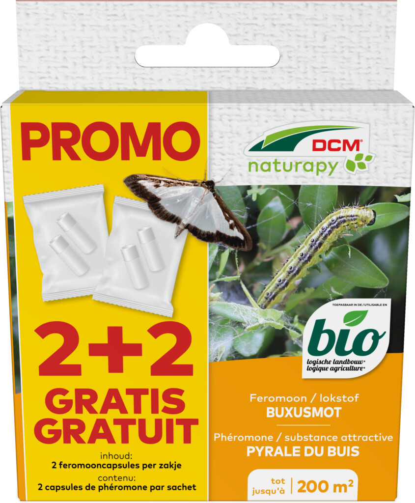 Cydalima-Pheromone® - Buxusmot 2+2