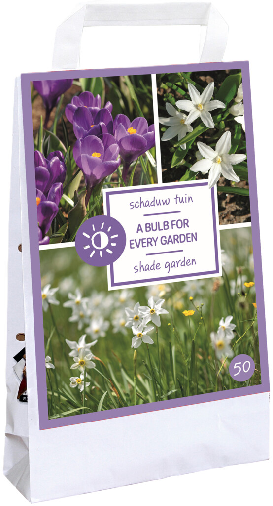 X1 Tas 50 Bulbs every garden - Shade Garden I