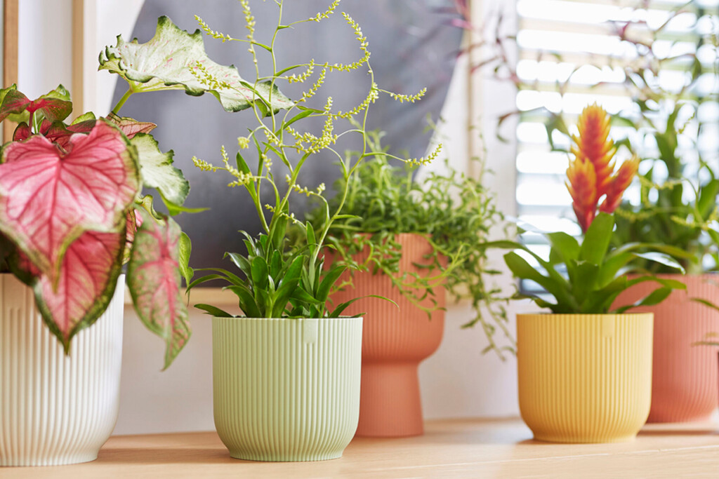 Bloempot Vibes Fold Rond 14cm sorbet groen