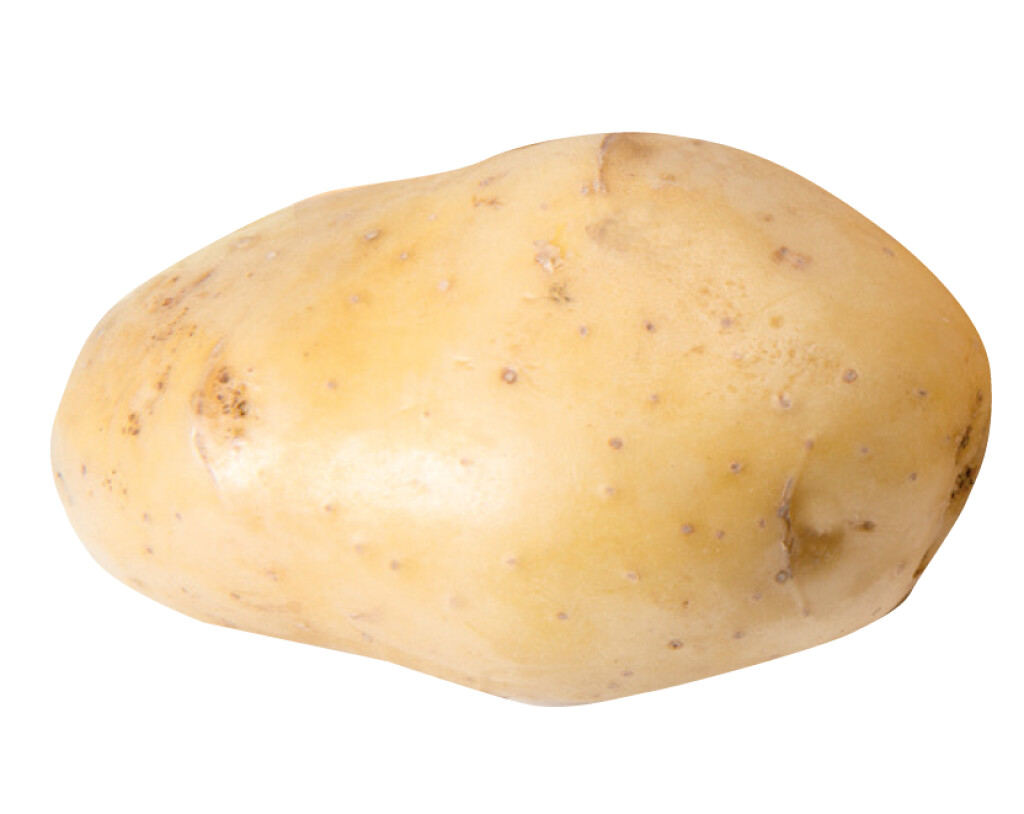 Bintje 1,5 kg