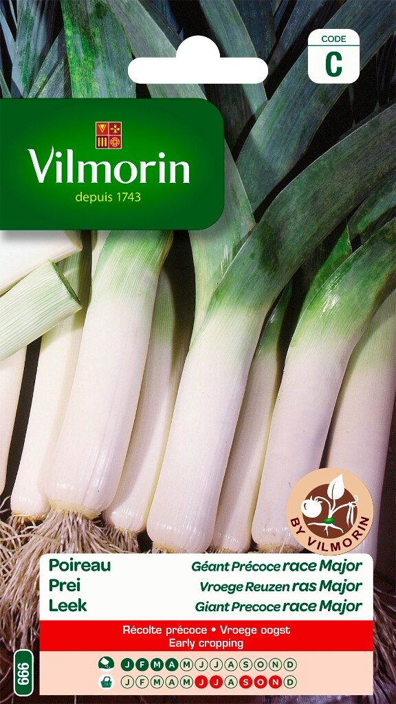 Poireau Géant Précoce Race Major