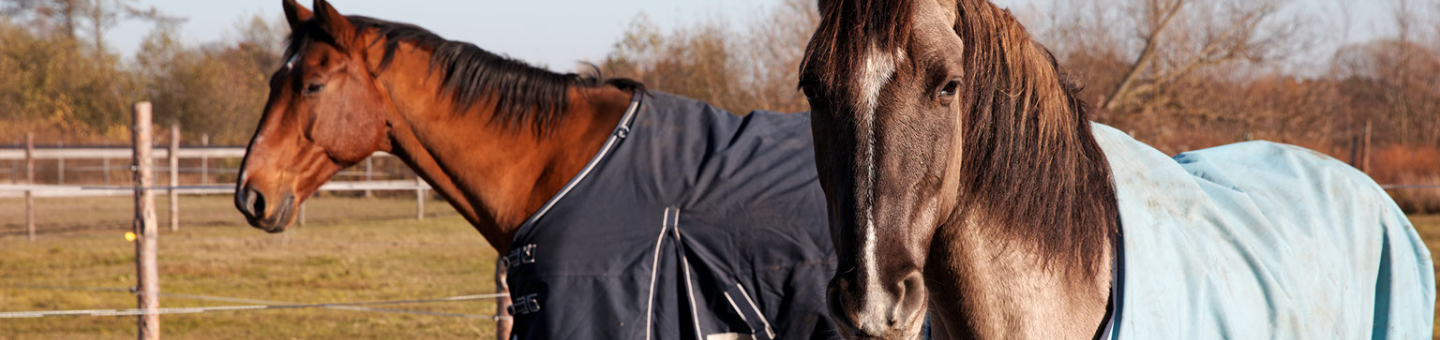 Paardendekens wassen Paardendekens wassen