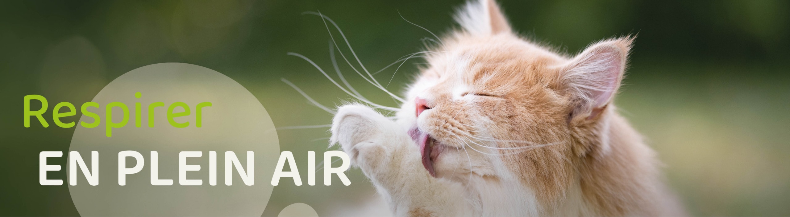 Respirer en plain air