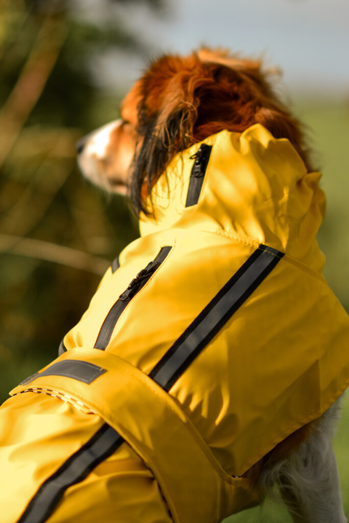Imperméable Ciro Jaune 30cm Imperméable Ciro Jaune 40cm