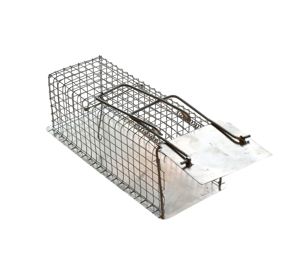 Rattenvangkooi 1 ingang