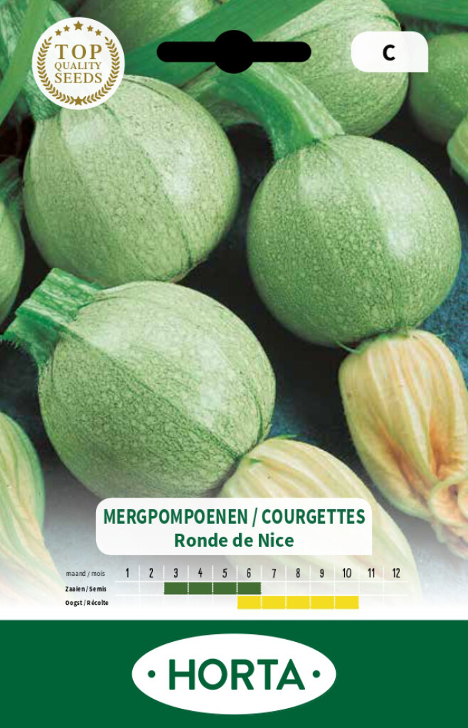 Courgette ronde van Nice
