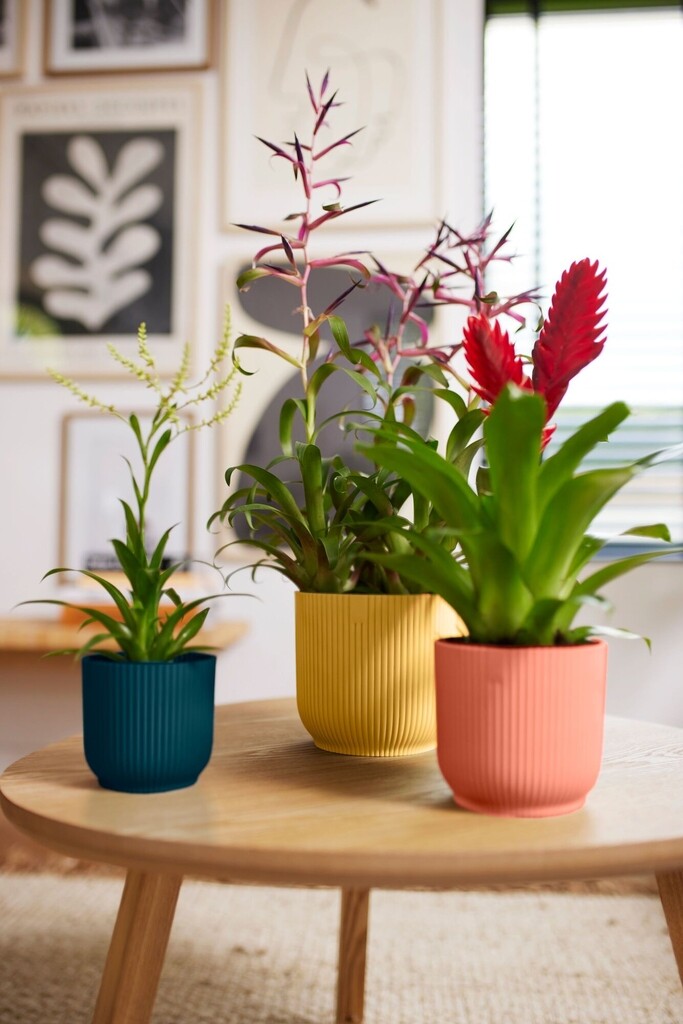 Bloempot Vibes Fold Rond Mini 7cm diepblauw