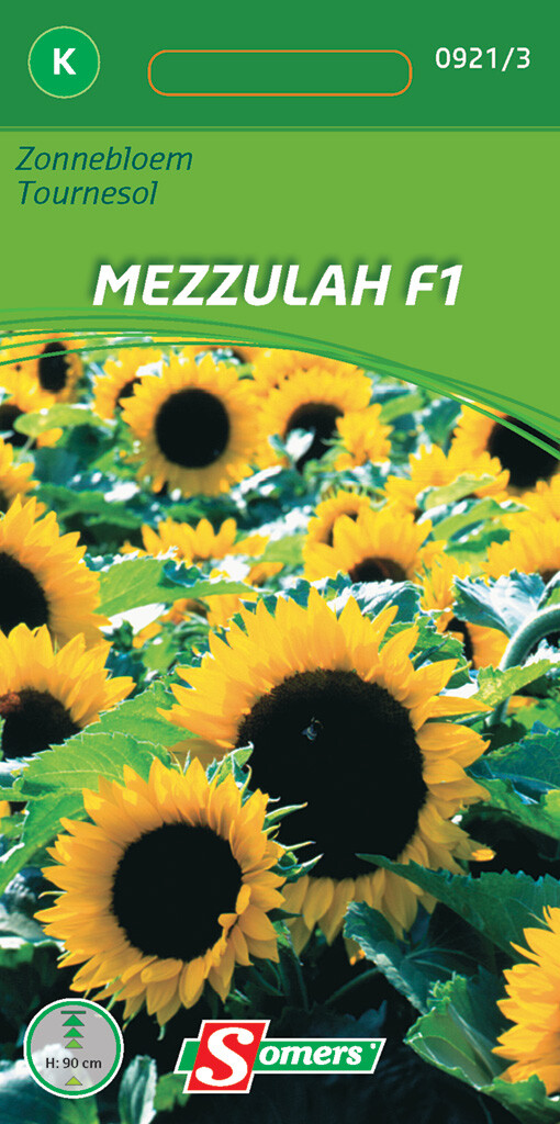 Zonnebloem Mezullah F1