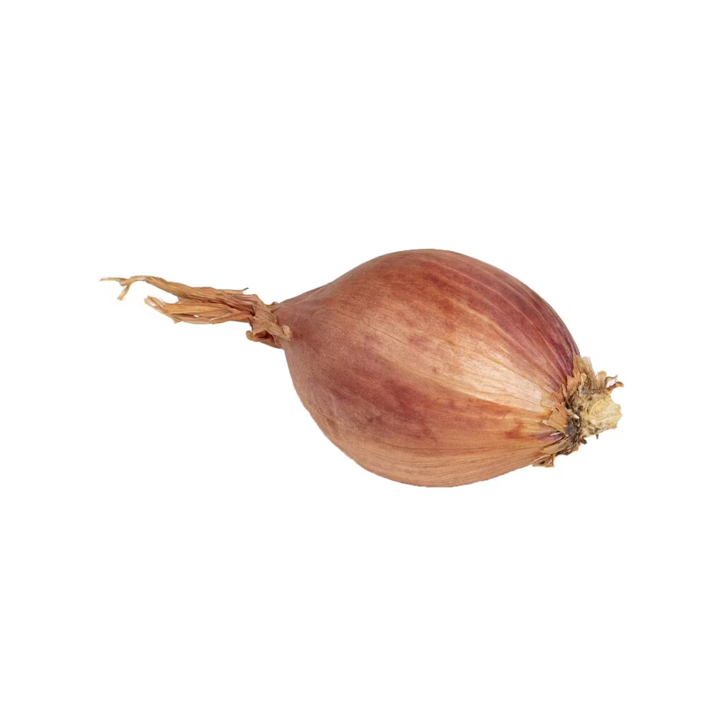 Échalote Mikor 500g
