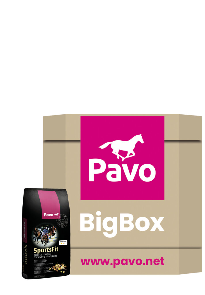 SportsFit Big Box 450kg