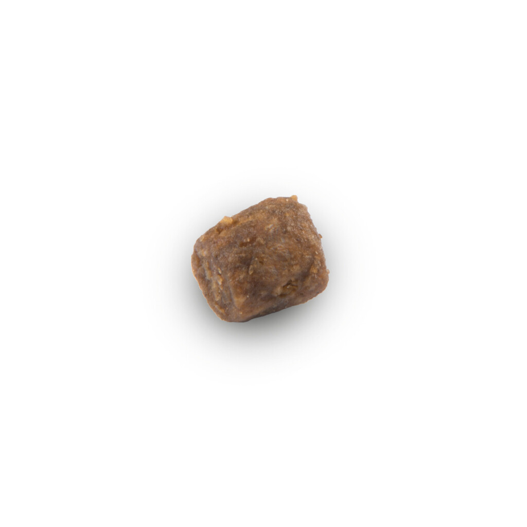 Mini puppy 2,5 kg