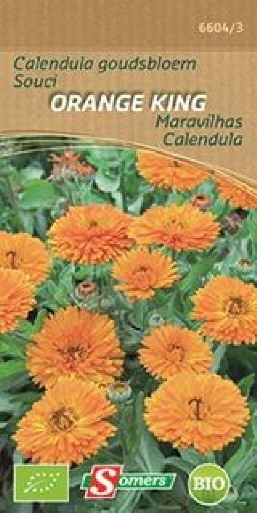 Be-Bio-02 Goudsbloem Orange King