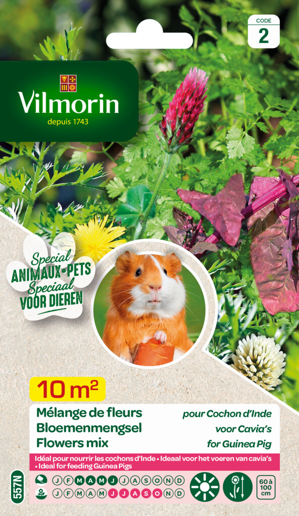 Mélange de fleurs pour cochons d'inde 10m²