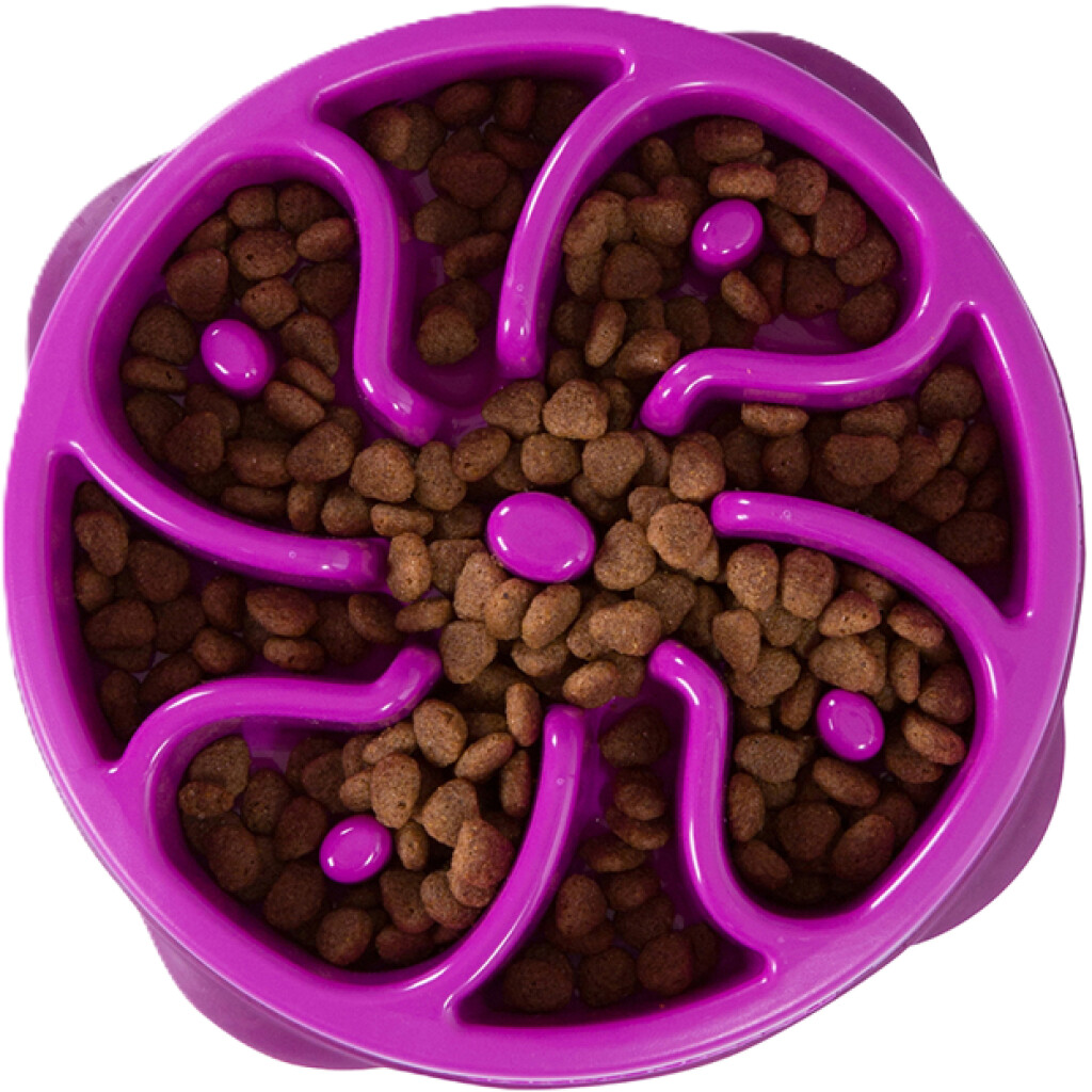 Fun Feeder Mini Flower paars