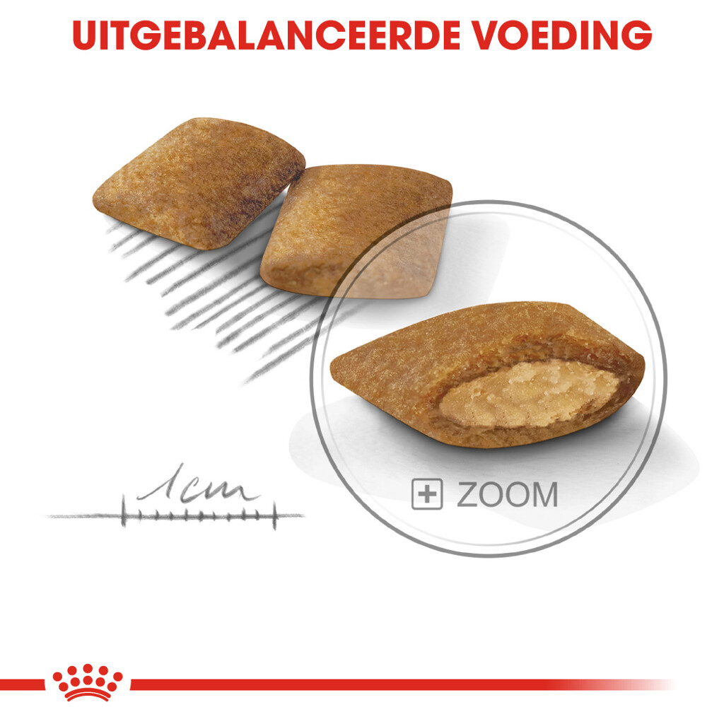 CCN Mini Exigent 3kg