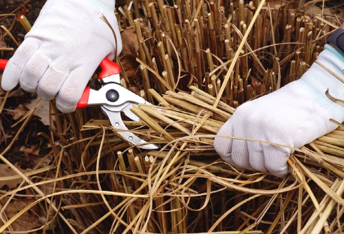 Tuin per maand - februari Tuin per maand - februari