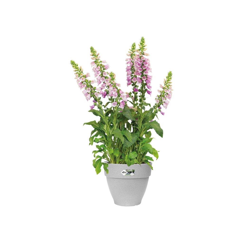 Vibia Campana Rond 30cm gris Vibia Campana Rond 30cm gris