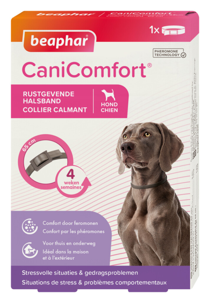 CaniComfort Collier Calmant Chien
