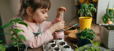 Semer des herbes aromatiques