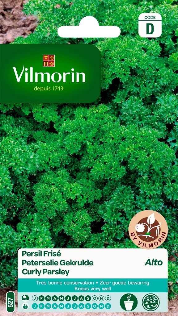 Persil frisé Alto
