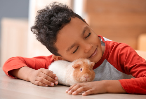 Prendre soin de son hamster Prendre soin de son hamster