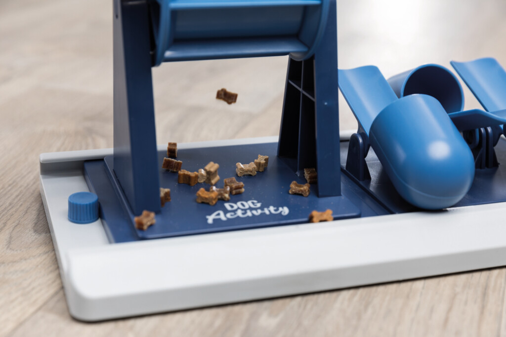Dog Activity Strategiespel Poker Box Vario 2 Dog Activity Strategiespel Poker Box Vario 2
