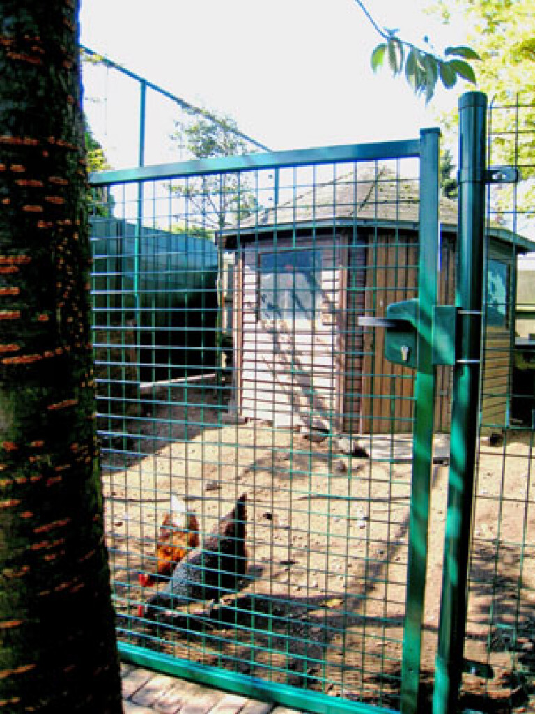 Portail battant simple avec grillage 1m x 1,25m noir Portail battant simple avec grillage 1m x 1,80m noir