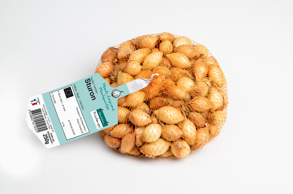 Oignon Sturon 14/21 250g