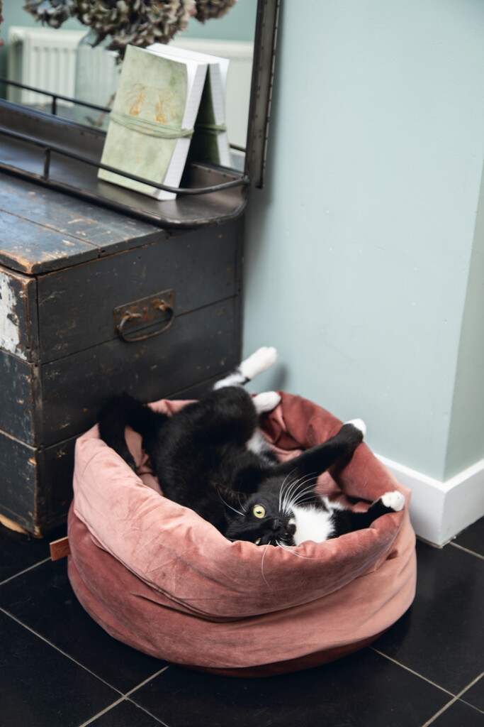 Panier chat Fluco Rose