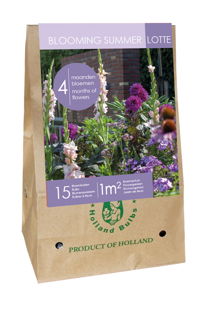 X1 Zak Blooming Summer 'Lotte'