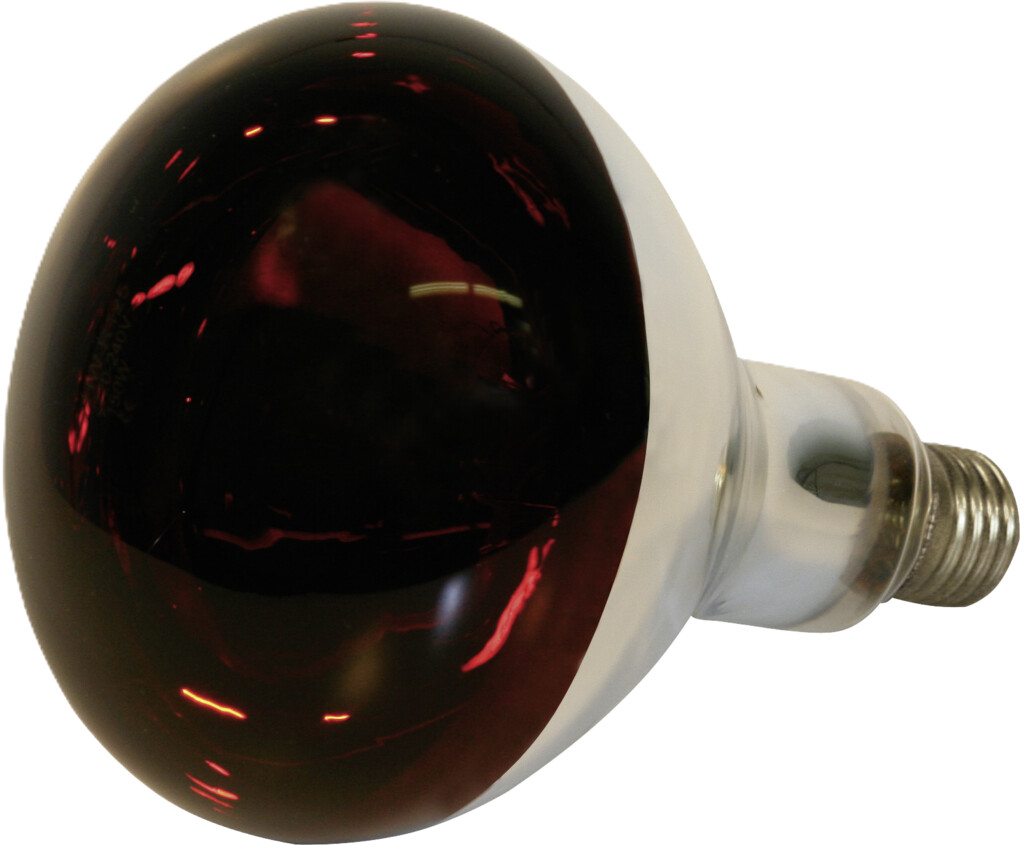 IR-lamp 150W gehard glas, rood