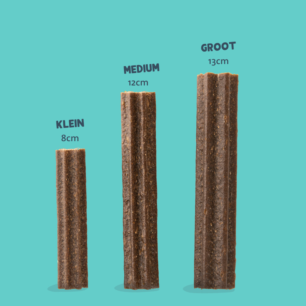 Doggy Dental large - munt & aardbei 240g