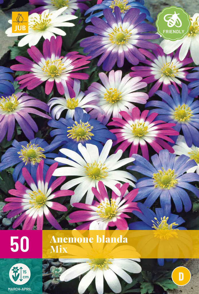 X 50 Anemone blanda Mix