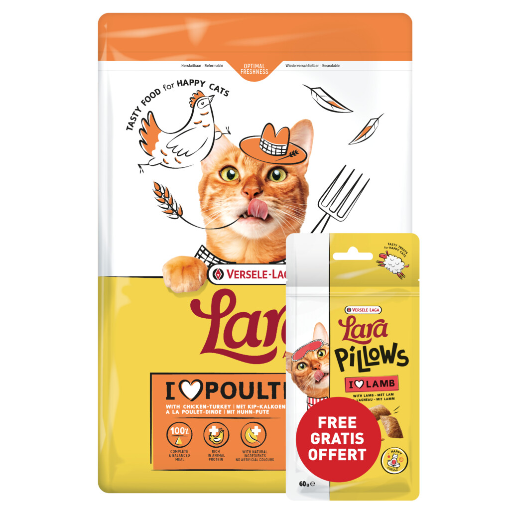 Adult with Chicken-Turkey 1,9kg + pillows lam 60g gratis VERKRIJGBAAR ZOLANG DE VOORRAAD STREKT