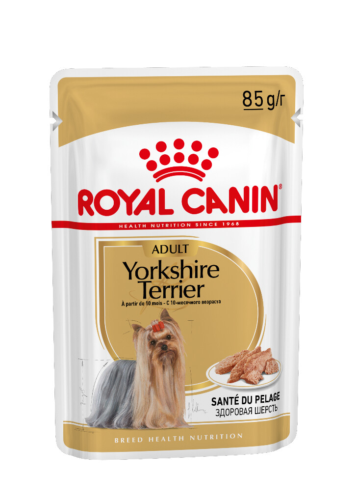 BHN Yorkshire Terrier 85g