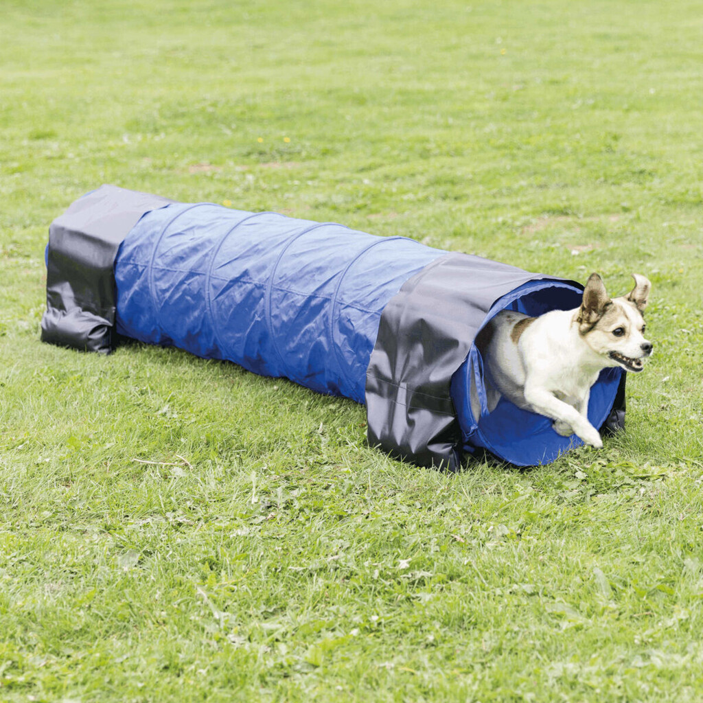 Dog Activity Tunnel Agilité Bleu 200x40 cm